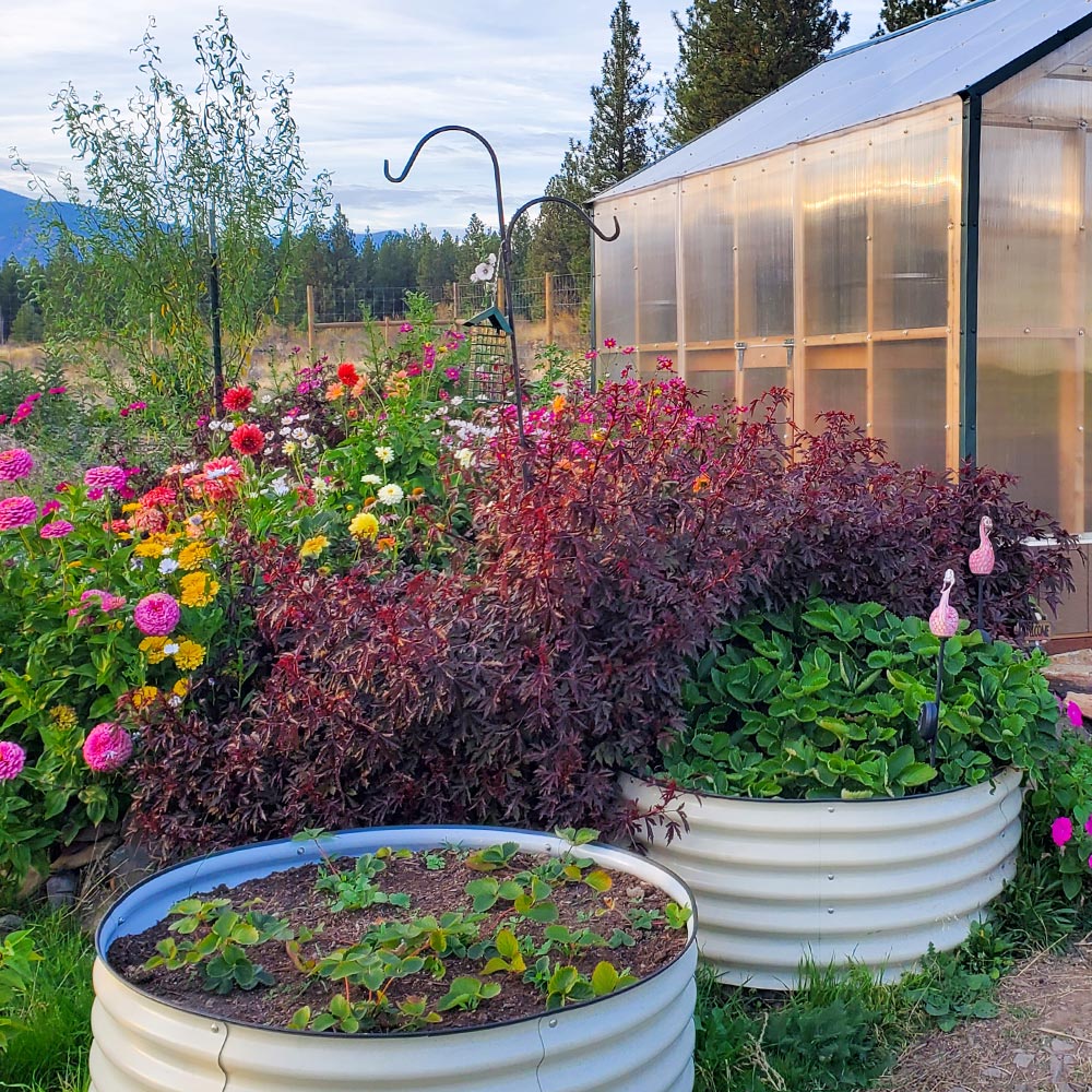 17 in.H 42 in.D Metal Garden Bed - Three Kits