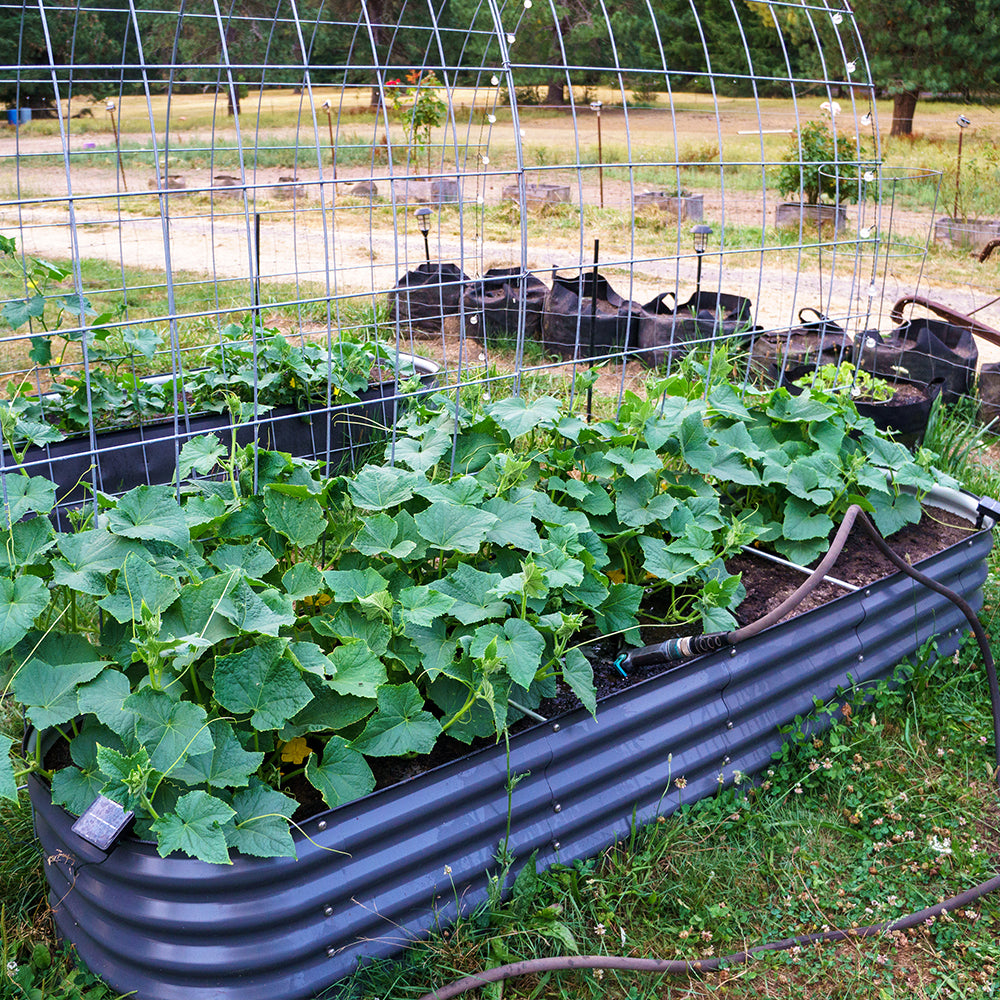 17 in.H 9 in 1 Metal Garden Bed