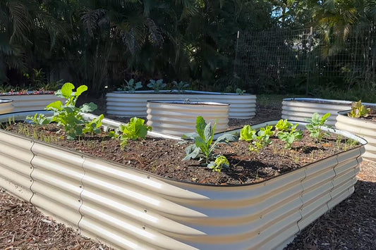 Is Zn-Al-Mg Steel Suitable for Metal Raised Beds | VEGEGA-UK