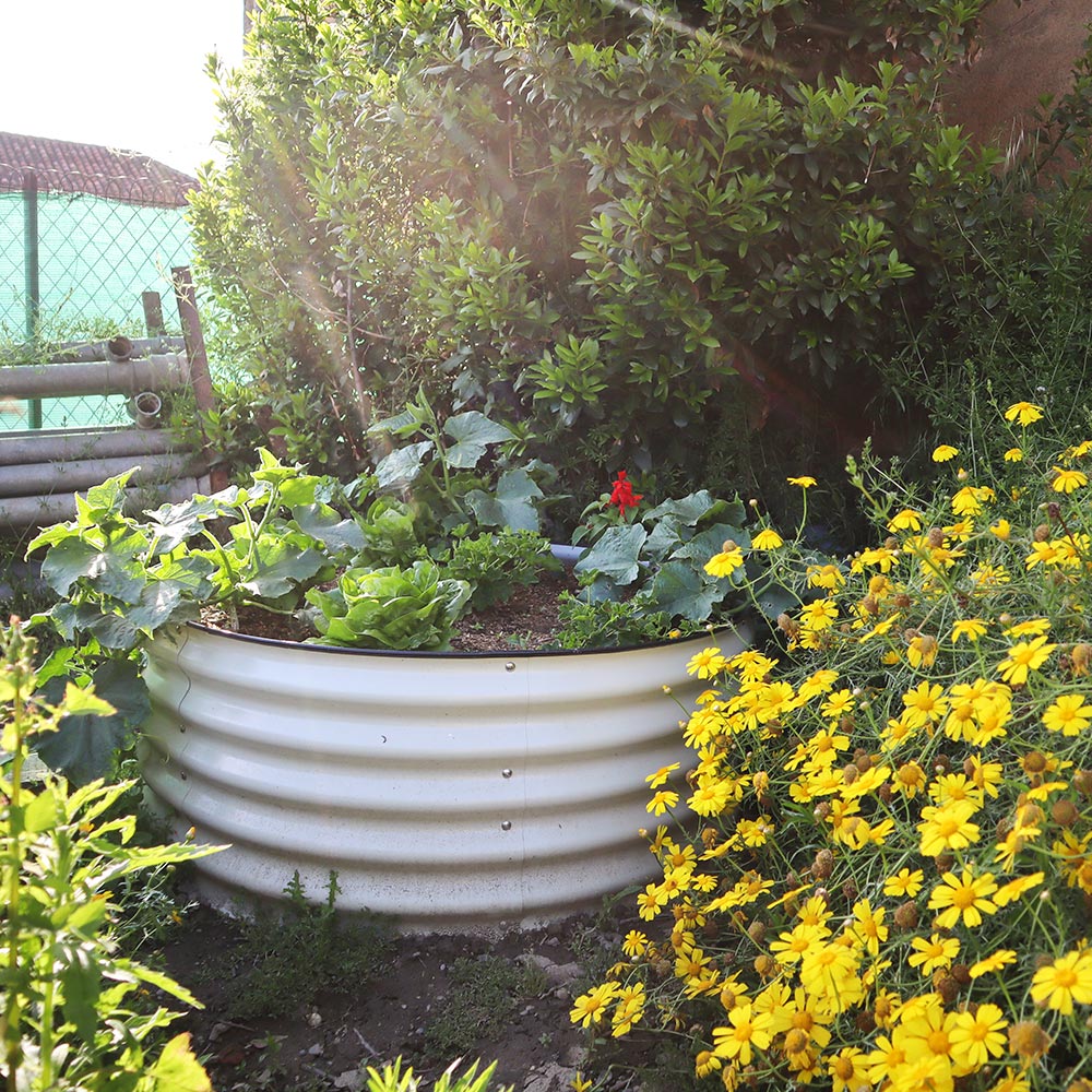 17 in.H 42 in.D Metal Garden Bed - Three Kits