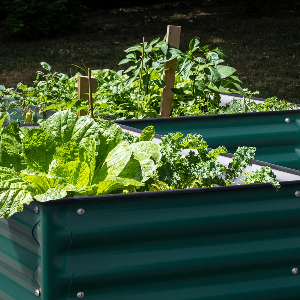 17 in. H 2'x2' Square Metal Garden Beds
