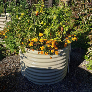 32 in.H 42 in.D Metal Garden Bed