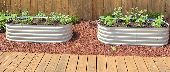 image comparison after